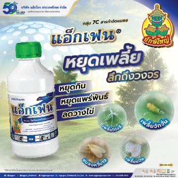 ไฟว์โกร80